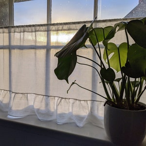 May include: A white linen window valance with a ruffled edge hangs in front of a window. A potted Monstera plant with large, green leaves sits on the windowsill. The sunlight streams through the window.