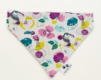 Parrot Fashion, slip on collar dog bandana