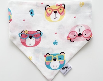 Looking Spectacular, slip on collar Dog bandana set