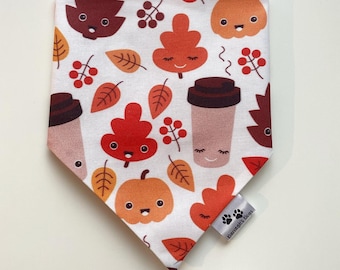 A whole lot of latte slip on collar Dog bandana set