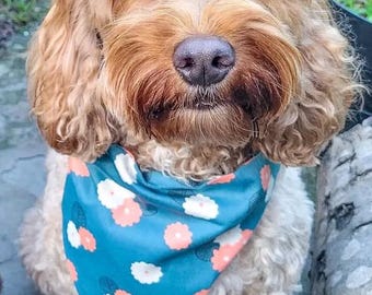 Daisy Blues, slip on collar, matching scrunchies, bow tie available