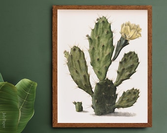 Pear Cactus in Bloom, Vintage Botanical Print, 1680 Fine Art Print, Vintage Plant Print, Cactus Artwork, Cactus Poster