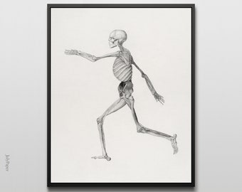 Vintage Running Skeleton Art Print: Anatomy Wall Decor