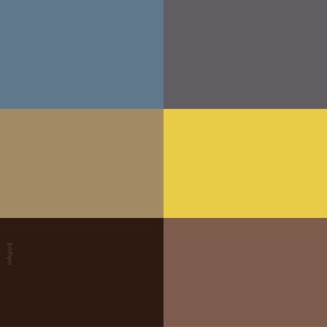 May include: A digital illustration of six color swatches. The colors are a light blue, a dark gray, a light brown, a yellow, a dark brown, and a light brown.