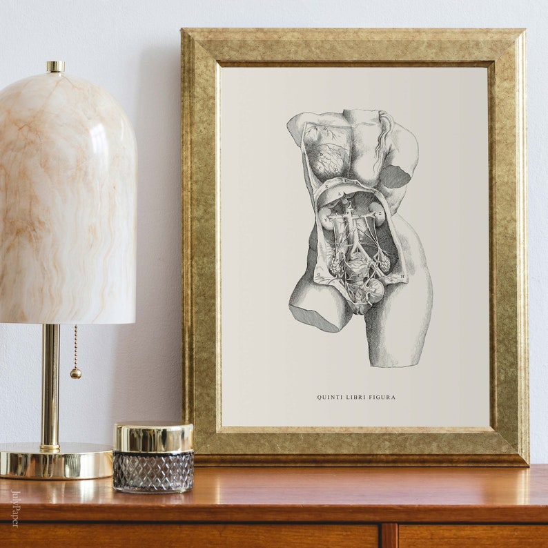 Female body anatomy wall art, Female Health Surgeon Gift
