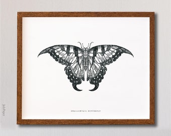 Impresión de arte de insectos de mariposa en blanco y negro, impresión de insectos mariposa vintage, póster de mariposas y polillas, arte vintage de mariposas en madera