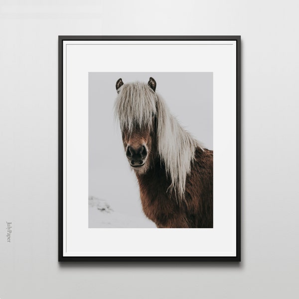 Haflinger Horse Poster, Horse with Long Hair Photo, Horse Photography Print