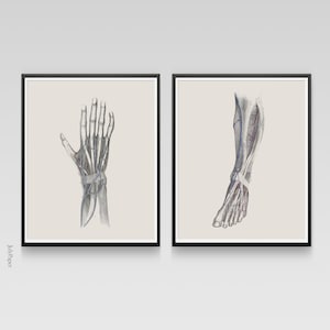 Anatomy Print Set, Human Anatomy Posters, Anatomy Home Decor, Vintage Anatomy posters, Anatomy Illustrations, Clinic Decor, Medical gift