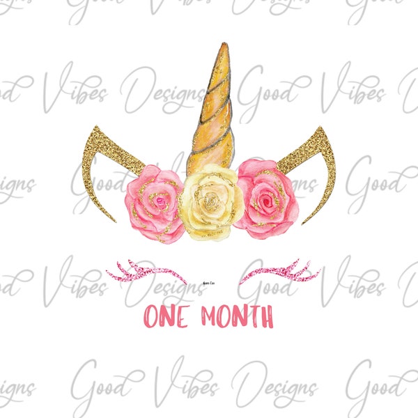 Baby Monthly Milestones, Pink Floral Unicorn Milestones, Blanket png, Pink Unicorn Baby Months, Baby Monthly Milestones, Baby Milestones