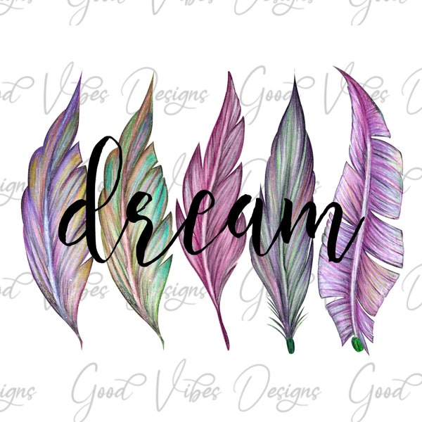 Feather PNG Sublimation, Feather shirt, Inspirational t shirt, Dream sublimation, boho feathers, dream catcher, dream without fear design