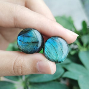 A Pair Of High Grade Labradorite Convex Stone Double Flared Plug/Plugs/Fashion Jewelry/Ear Tunnels/Ear Piercing