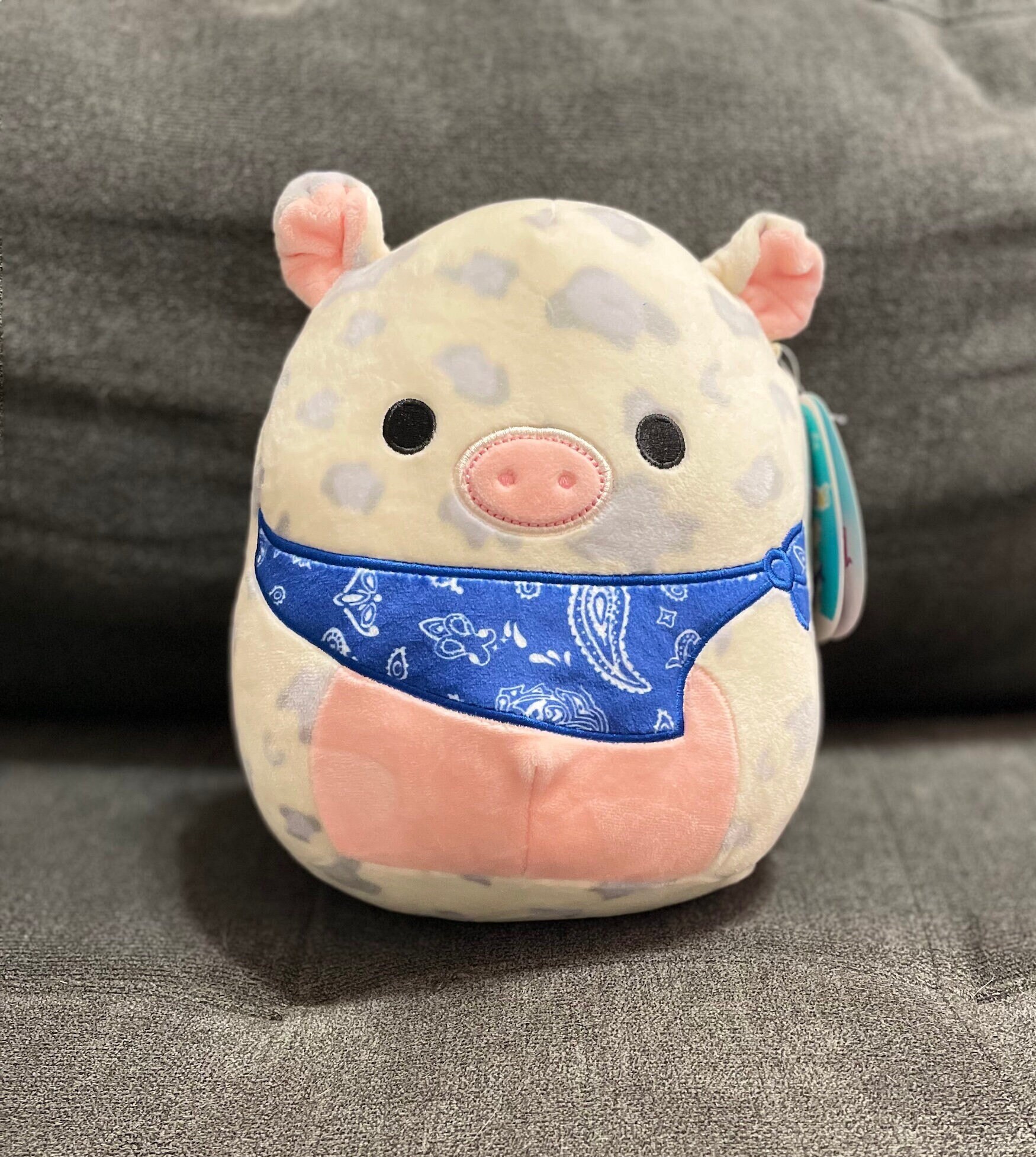 Rosie Squishmallow ubicaciondepersonas.cdmx.gob.mx