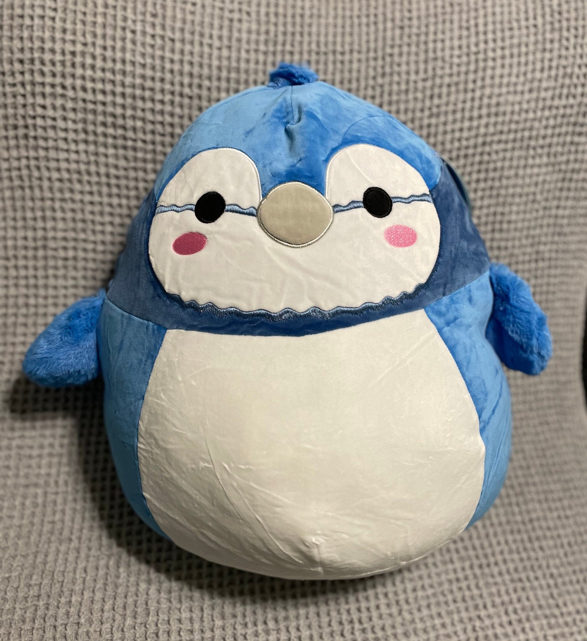 squishmallow babs clip