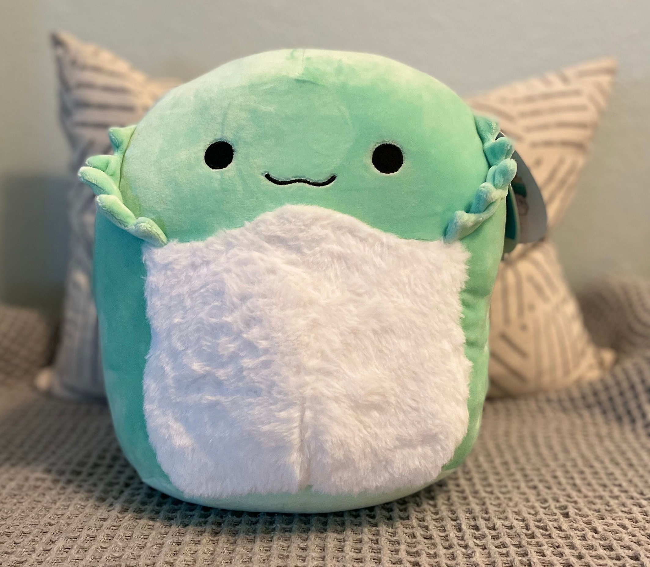 blue bearded dragon squishmallow