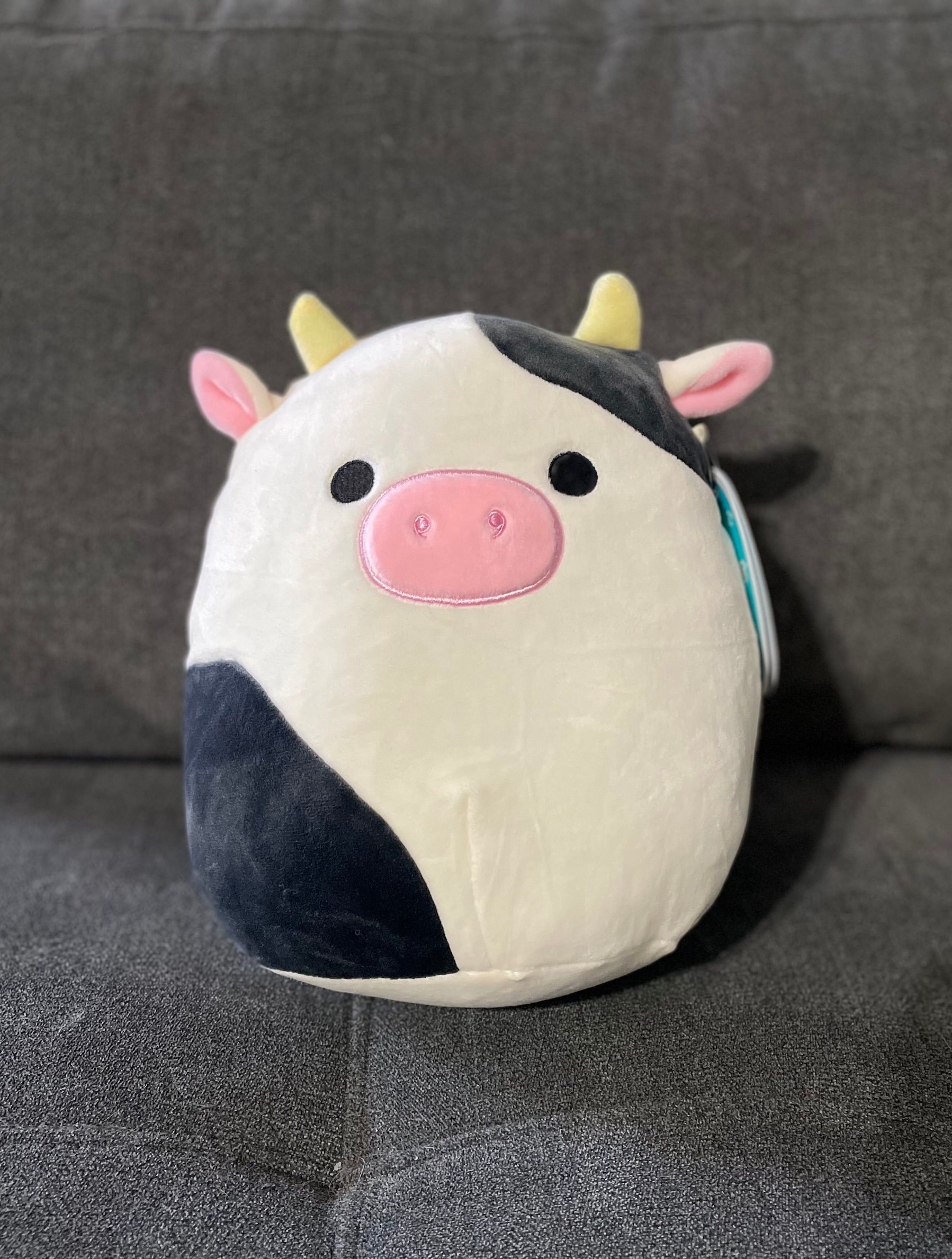 connor squishmallow 8