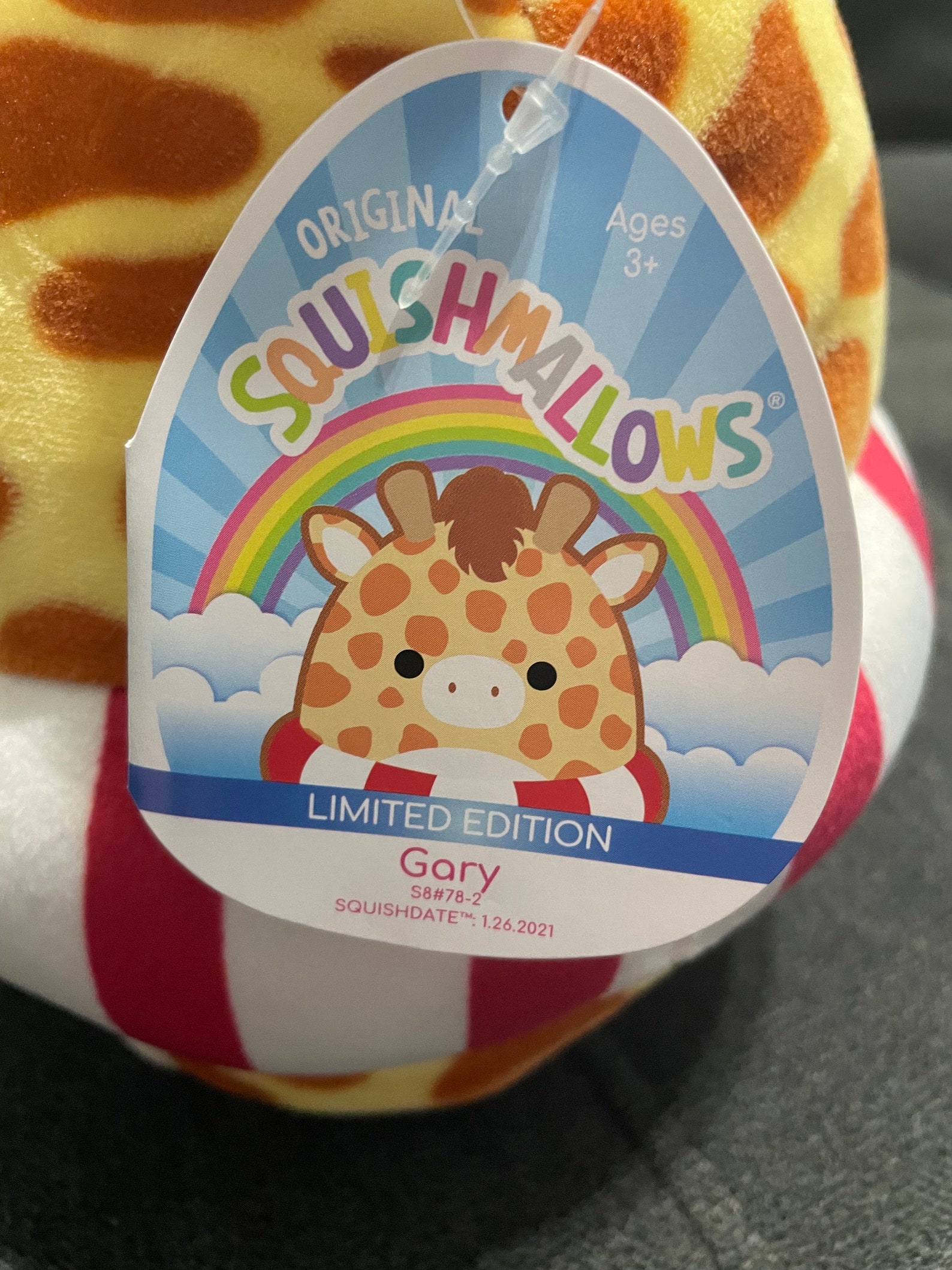 gary with tube squishmallow