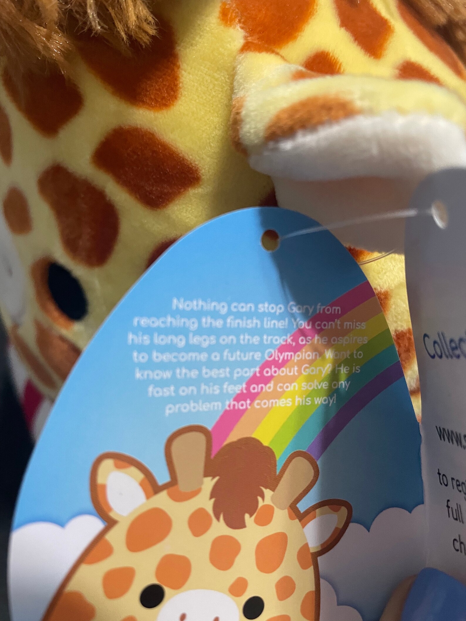 Personalized Gary the Giraffe 8 Squishmallow | Etsy