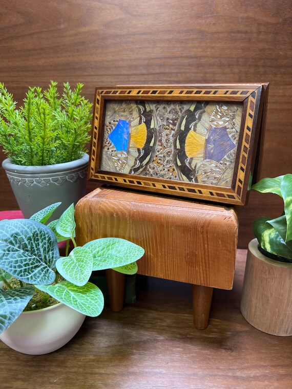 Vintage butterfly wings, inlaid wood jewelry box