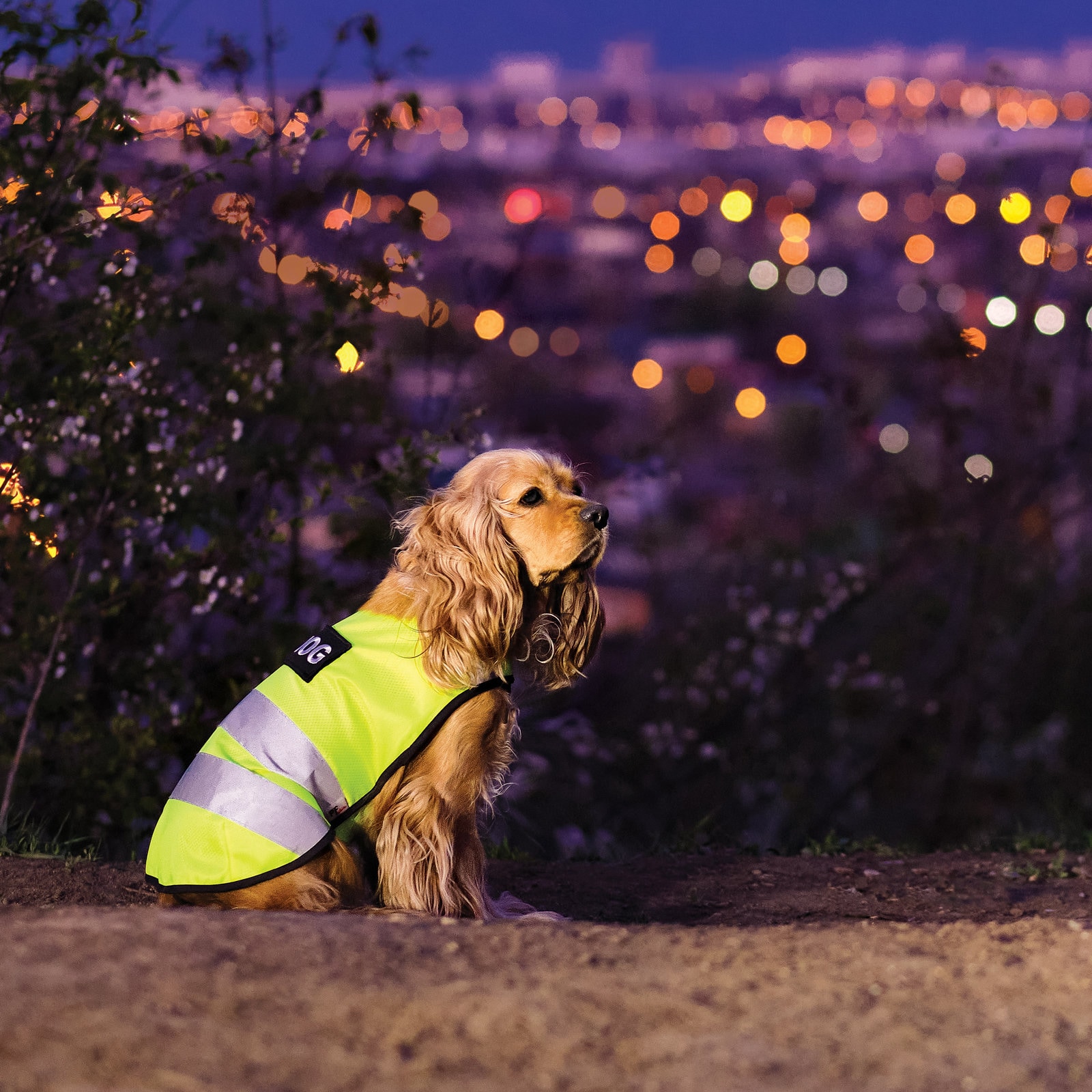Gelbe Hundeweste Haustiere Kleidung Hund Tops Welpen Etsy