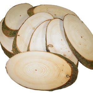 Op de afbeelding: Een verzameling ovaalvormige houten schijven met zichtbare groeiringen. De schijven hebben een lichtbruine kleur met een donkerbruine en groene schorsrand. Ideaal voor rustieke knutselwerken en woondecoratieprojecten.