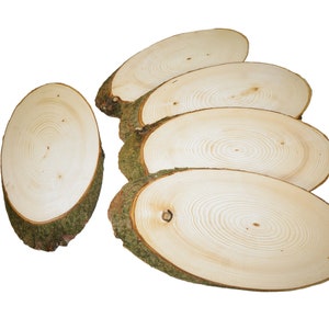 Op de afbeelding: Zes ovale houten schijven met zichtbare groeiringen en natuurlijke schorsranden. Het hout heeft een lichte, natuurlijke kleur. Deze rustieke houten schijven zijn ideaal voor knutselen. Diameter ongeveer 15-20 cm.