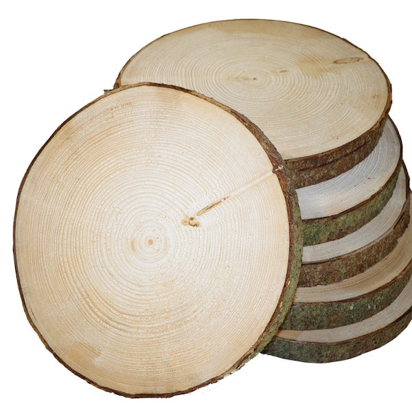 Baumscheiben, 20-23 cm Durchmesser, Astscheiben, Deko, Hochzeit, Basteln