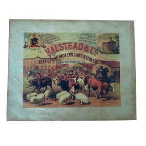 Puede incluir: Un anuncio antiguo de Halstead & Co., Beef & Pork Packers, Lard Refiners, con ilustraciones de ganado y una fábrica. El texto incluye "Mt. Vernon" y "New York". El anuncio es adecuado para mercados extranjeros y nacionales.