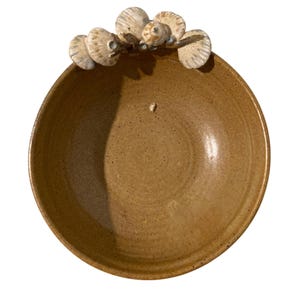 Art Pottery Bowl With Seashell And Barnacle Accents