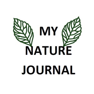 Nature Journal; Nature Activity; Kids Activity; Family Activity; Nature Learning Activity; 5 Pages