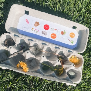 Printable Egg Carton; nature scavenger hunt;  woodland; gift; gifts; toys; outside; learning; Montessori; educational; creativity; birthday