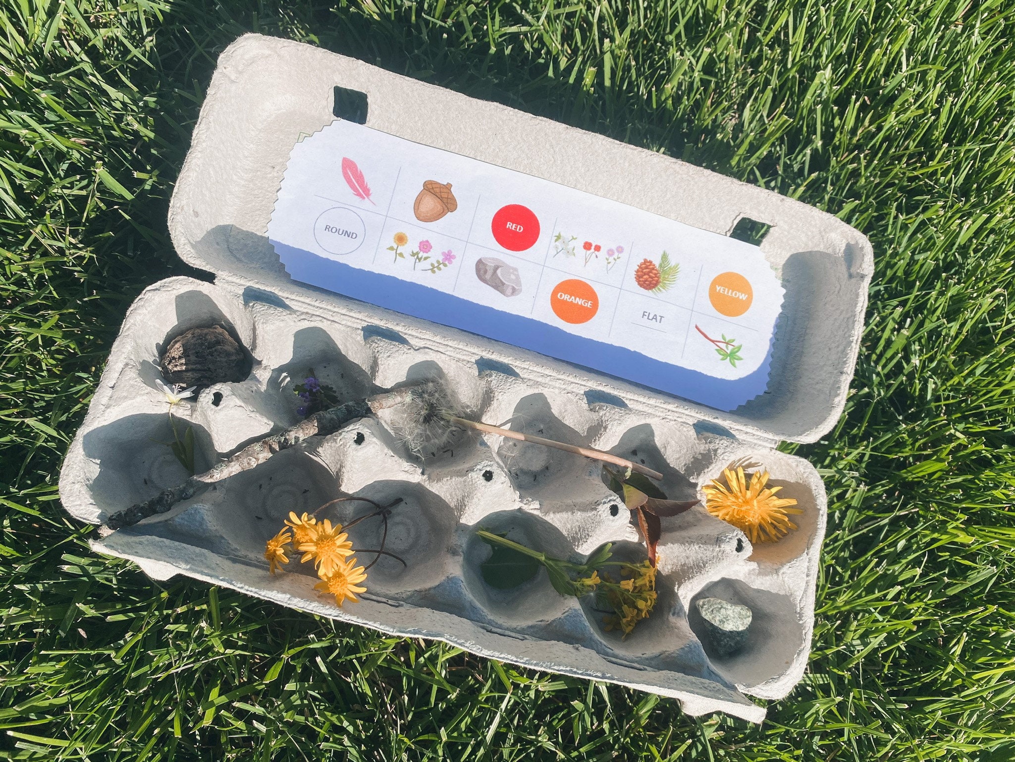 Printable Egg Carton nature scavenger hunt for kids full color Etsy