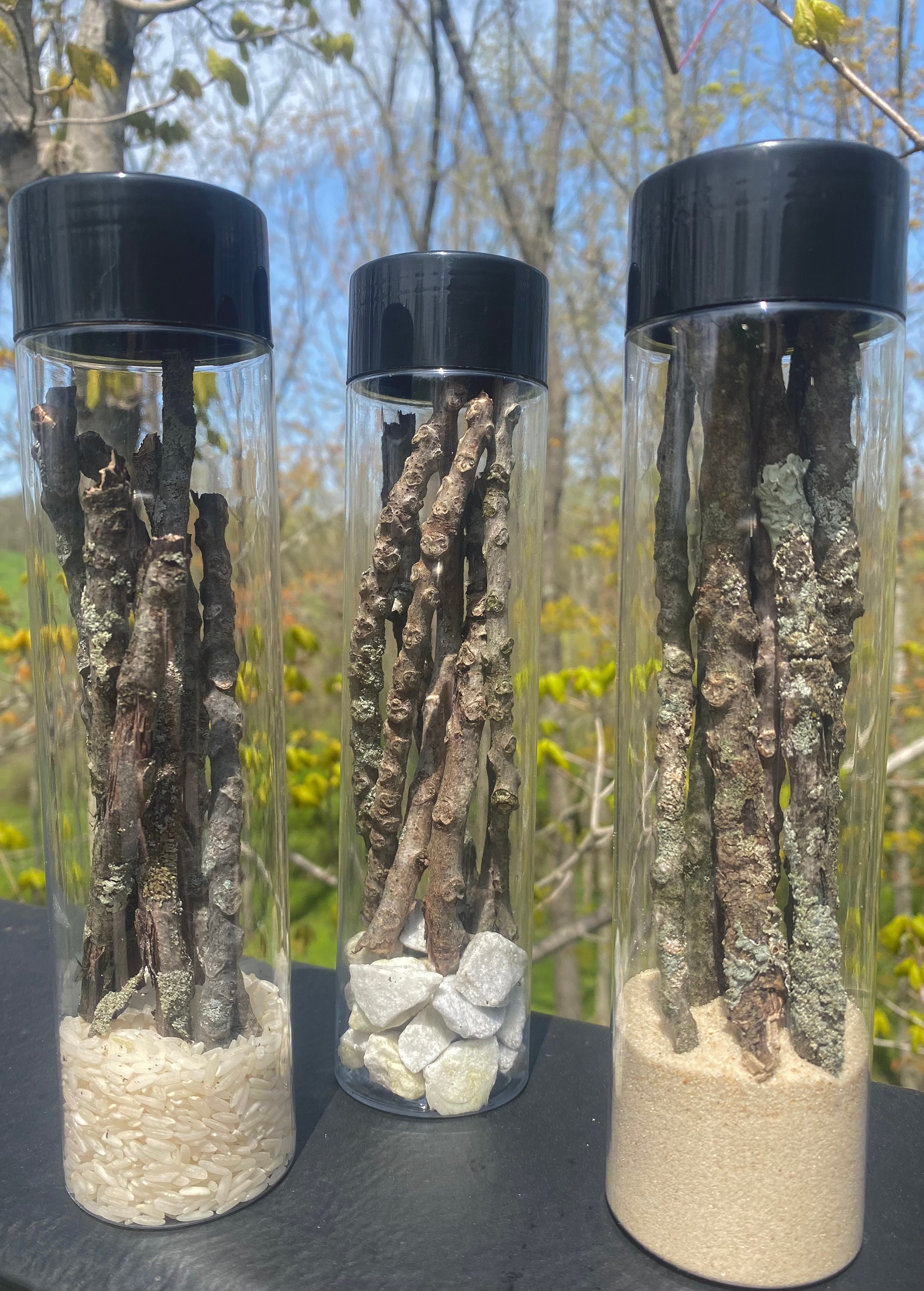 Rain Stick Musical Trio Sensory Bottle; Kids Gift; Calming Jar; Kids Toy; Educational; Learning; Montessori; Gifts; Handmade; Birthday