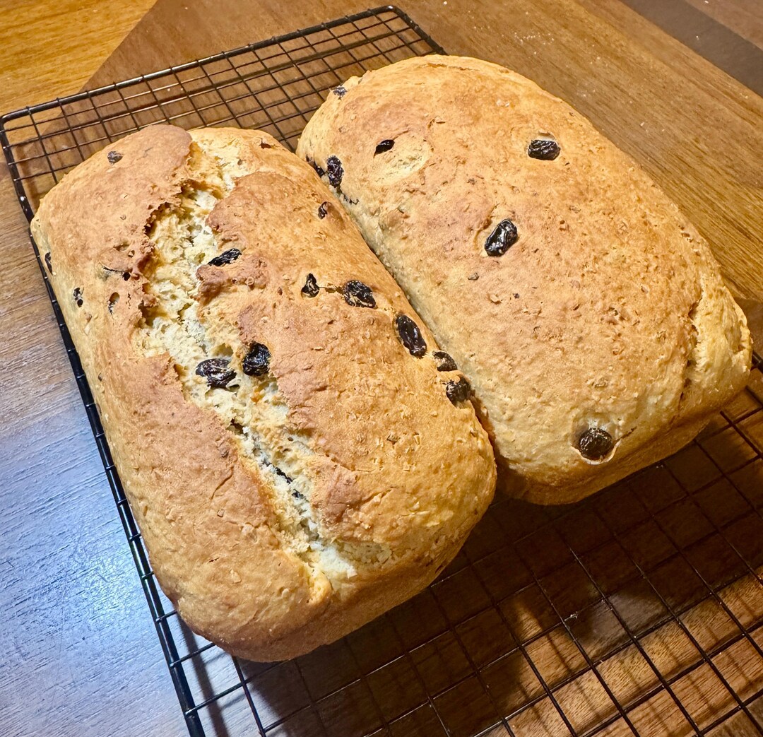 Coconut Loaf ( Raisins Are Optional) - Etsy