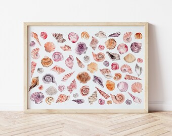 Original Painting Of Colorful Seashells In Watercolor Unique Etsy
