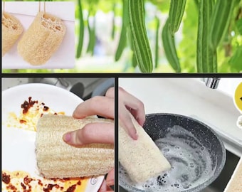 Może przedstawiać: Zbliżenie na naturalną gąbkę z luffa używaną do czyszczenia białego ceramicznego talerza z plamą czerwonego sosu. Gąbka z luffa jest również pokazana podczas czyszczenia czarnej patelni z mydlaną wodą.