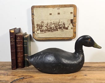 Antieke eendlokvogel – handgesneden houten wilde eend, volkskunst met glazen oog, rustiek lodgedecor