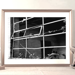 Derelict window Monochrome Photograph A3 A4 A5