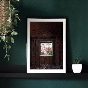 Urban Window Photography Print