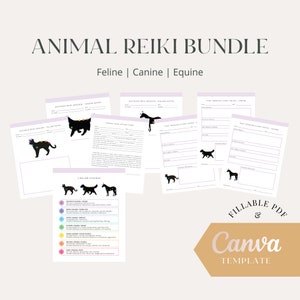 Pet Reiki Session Form Bundle – Animal Reiki Session Form Bundle