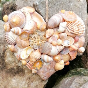 May include: A heart-shaped arrangement of seashells, with a variety of shapes, sizes, and colours, including white, beige, and brown. The shells are arranged in a random pattern, creating a natural and organic look.