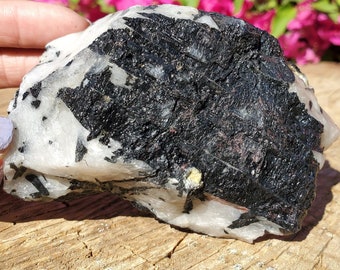 Large Black Tourmaline Quartz Rough  | Black Tourmaline on Matrix 1280 grams | 2lbs 13oz