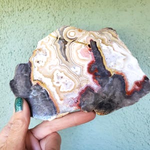 May include: A polished agate slab featuring intricate concentric banding in shades of cream, white, tan, and deep charcoal gray. The stone displays vibrant red and orange accents within the layers, creating a complex, natural, and multi-colored pattern.