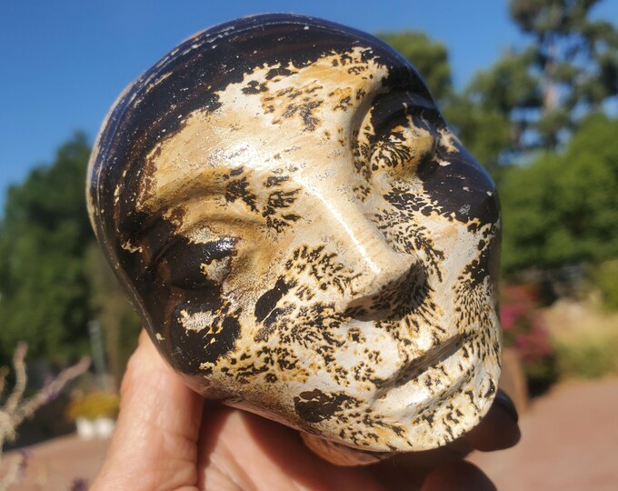 Serene Alien Being Picture Stone Face Head Skull Exquisite 702 Grams ...