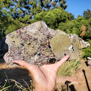 Fetta di lastra espositiva di tormalina verde sangue di drago e quarzo fuso raro da oltre 3 libbre, esemplare lucidato di grado A / 1560 grammi / 3 libbre e 7 once