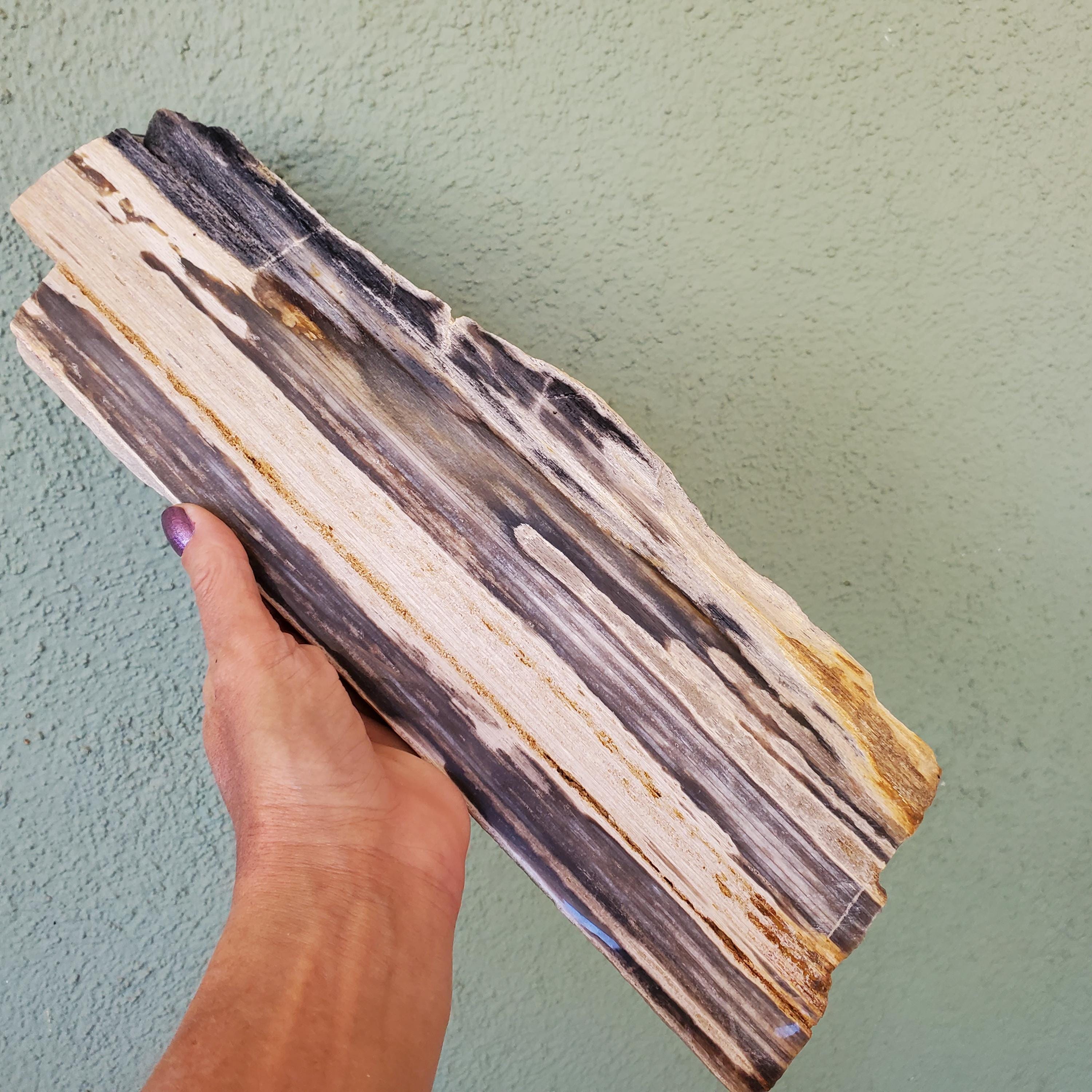 Petrified Wood Tray Large - Etsy