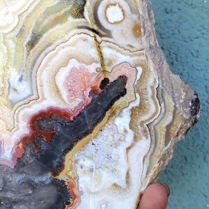May include: A polished agate slab featuring concentric bands of white, cream, yellow, and deep red colors. A prominent, dark, jagged mineral inclusion cuts through the center of the stone, surrounded by intricate, wavy, and organic crystalline patterns.