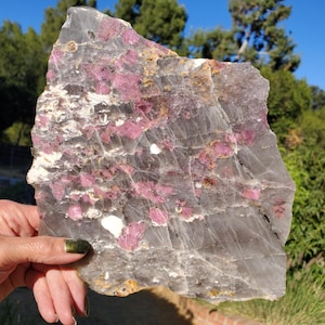 May include: A flat, irregular slab of translucent gray quartz featuring embedded clusters of vibrant pink crystals. The mineral specimen displays a natural, jagged edge and a polished surface that reveals internal fractures and white inclusions.