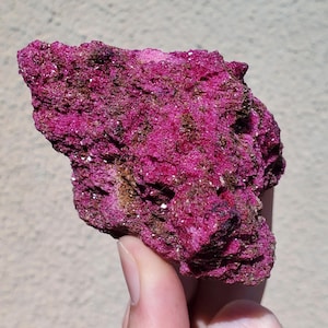 Puede incluir: Una mano sostiene un vibrante espécimen mineral texturizado. La roca es de un color magenta intenso con áreas marrones y cristales blancos brillantes. La superficie rugosa sugiere un estado natural y sin pulir.