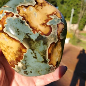 May include: A polished stone with a unique pattern of tan, brown, and teal colors. The stone has a smooth, rounded shape and a natural, organic appearance. The colors blend together in a marbled effect.