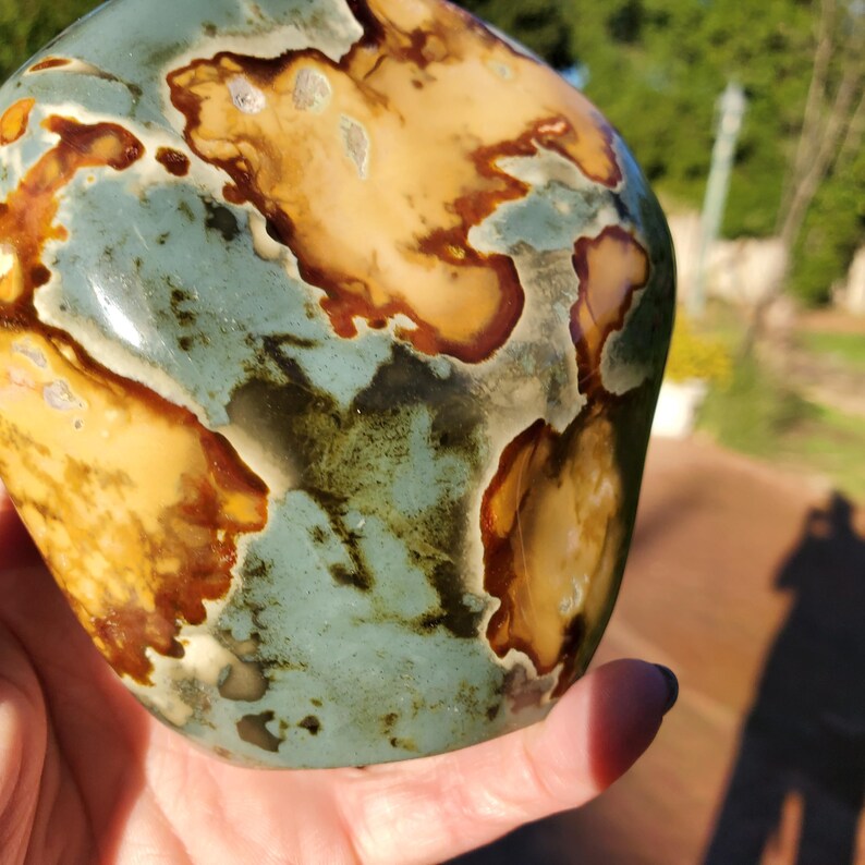 May include: A polished stone with a unique pattern of tan, brown, and teal colors. The stone has a smooth, rounded shape and a natural, organic appearance. The colors blend together in a marbled effect.